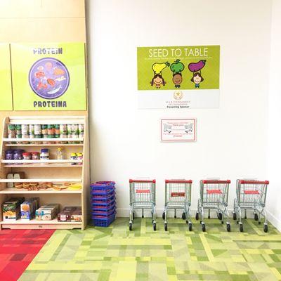 Interactive Exhibit - Seed tp Table