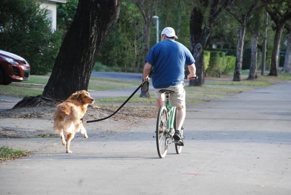 Andy taking our dog Chase on a Bike Run