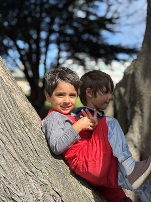 Alta Plaza Preschool