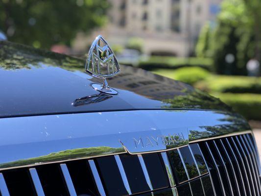 5 Star Luxury Rentals