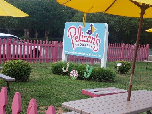 Pelican’s SnoBalls