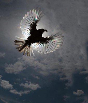 2ND CHANCE TRANSPORTATION