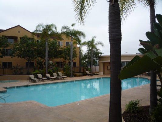 American Mortgage Management