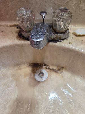 dirt from fungi and bacteria, deep cleaning was done