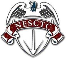 Nesctc Security Agency