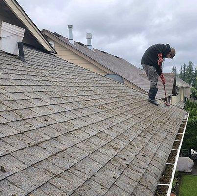 Gutter and Roof cleaning along with gutter and downspout cleaning.