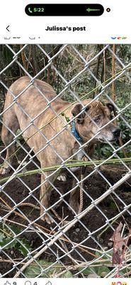 Humane Society For Tacoma and Pierce County