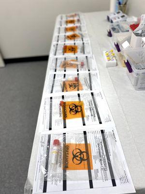 RT-PCRs ready for process