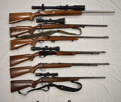 Cady Auction Gallery and Appraisal