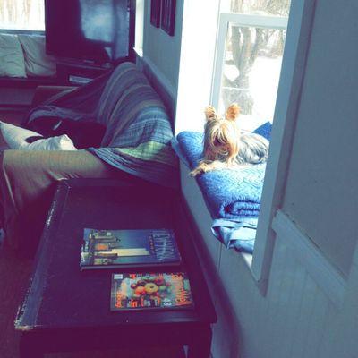 Come visit us at The Playyard and have some fun.