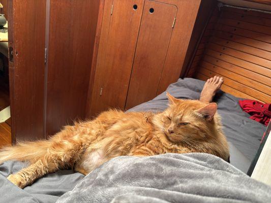 Crestwood Behavioral Health