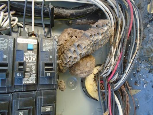 Homesmith Home Inspections