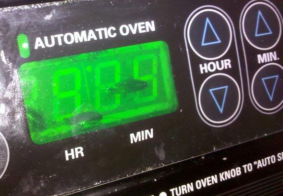 German cockroaches in a stove