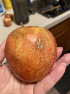 Giant Eagle Pharmacy