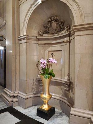 Duan Wei-Maynez, CPA