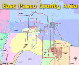 Dade City Bail Bonds