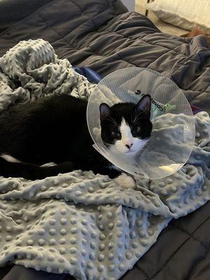 St. Bethlehem Animal Clinic