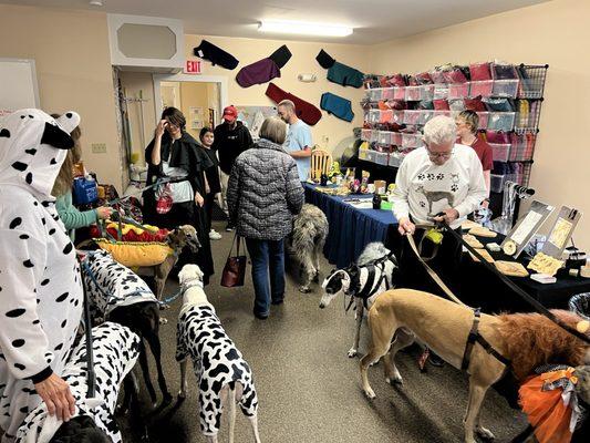 Maine Greyhound Placement Service