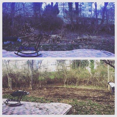 Before and after pics of sod prep for extended patio....removed shrubbery small trees and bushes