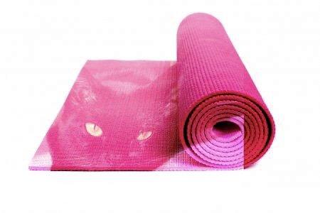 Pilates, personal training