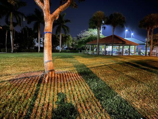 Normandy Isle Park & Pool