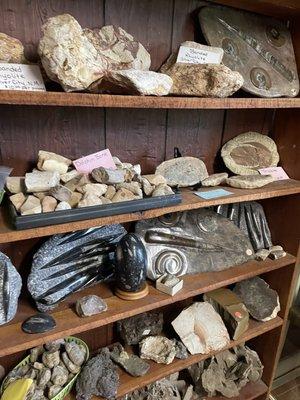 Noema Rock & Gem Shop