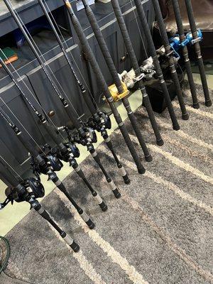 12 phenix rods