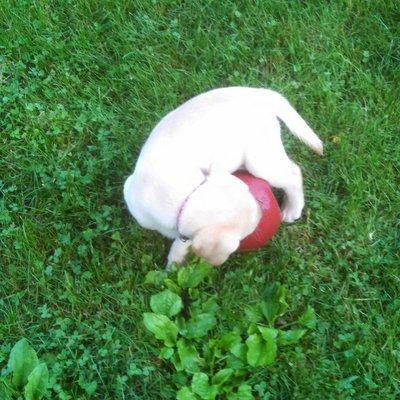 Wait I think I have got it. I love The Playyard