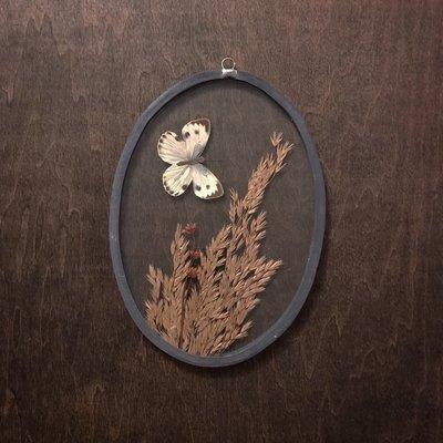 Vintage dried botanical/entomology wall hangings!
