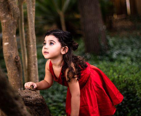 Melanie Boehm Photography