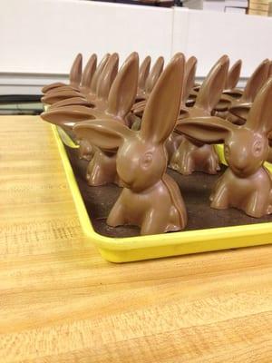 Chocolate bunnies ready for decorating