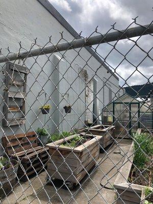 Tom's Learning Garden