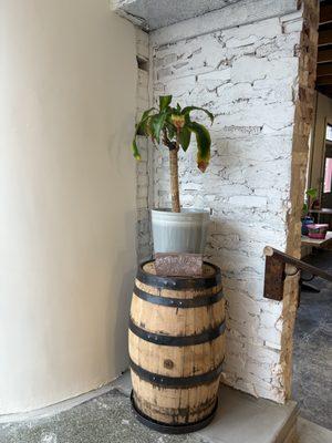 We have a few plants around the coffee shop.