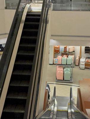 Tinted Single File Westinghouse escalators, Belk Valley View Mall