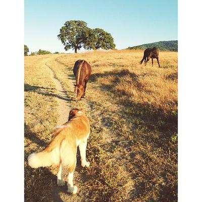 Westwind Community  Barn