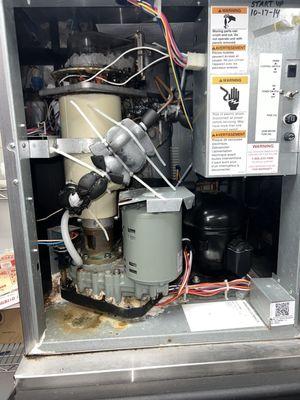 How disgusting the store is