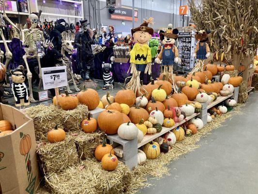 They're Fall Ready!!