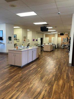 Western Dental & Orthodontics