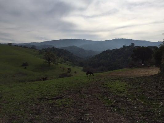 Looking out onto the property from the gate entrance