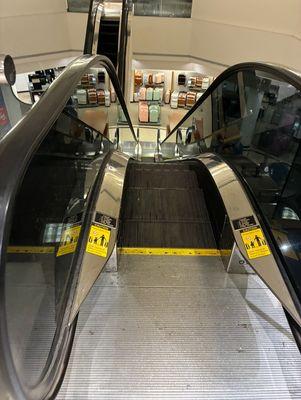 Tinted Single File Westinghouse escalators, Belk Valley View Mall
