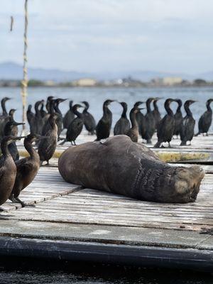 Got to see some fun sea life