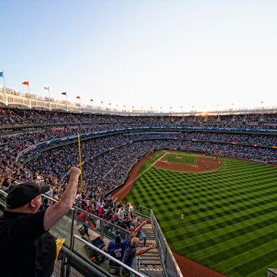 Yankee Stadium