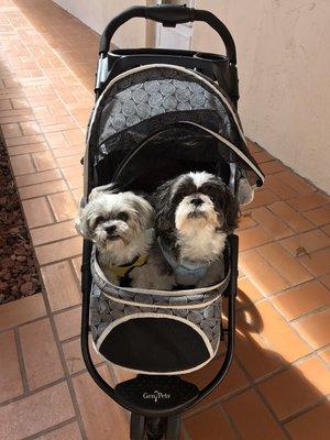 Paws of Love Pet Sitting