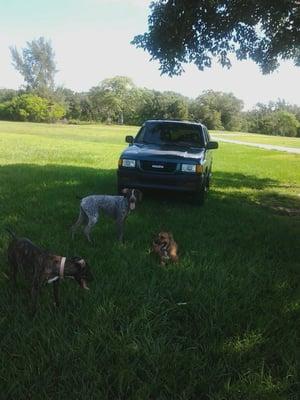 Resting under the shady tree at the pond.