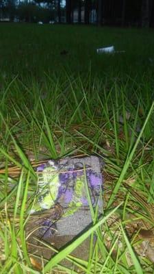 Elite Property Management