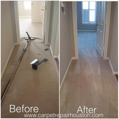 The Carpet Specialists