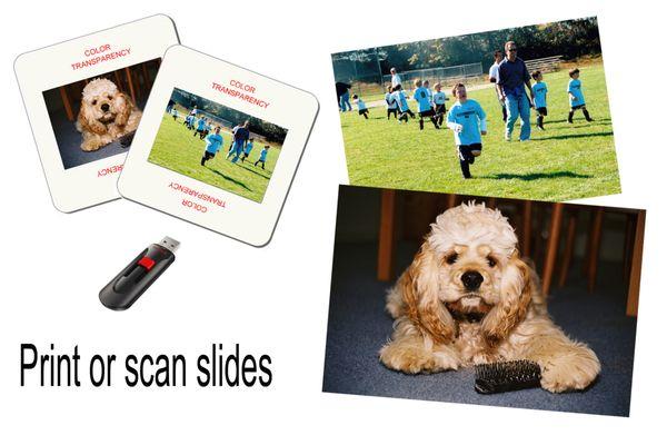 Kerry's Warwick Photo