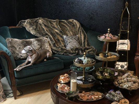 Moonbeam, the coveted green sofa and an array of sparkly stardust!