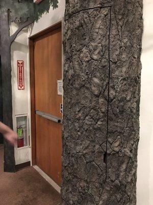 South Shore Natural Science Center