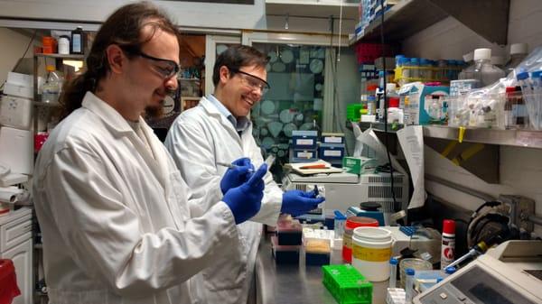 Genspace members working on their projects in the lab.